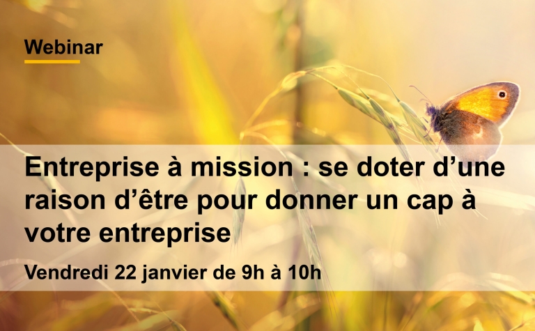 EntrepriseMission