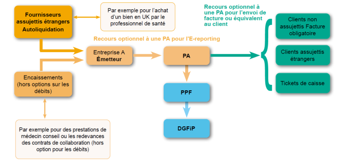 image 5 article juillet