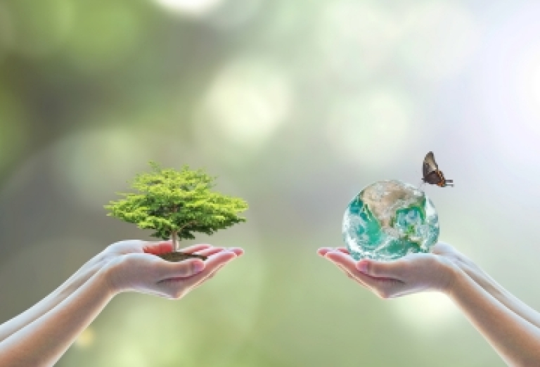 La CSRD : le nouveau rapport de durabilité en vigueur au 1er janvier 2024