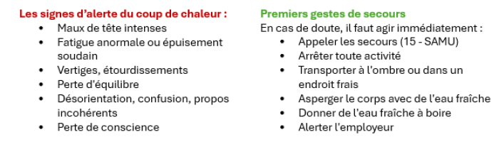 prevention chaleur canicule